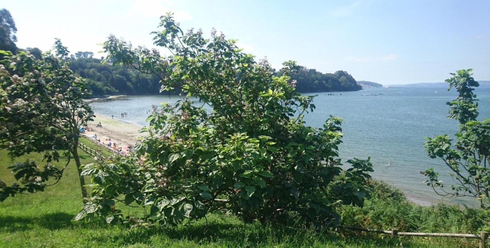 Villagalicia360 Bergondo 外观 照片